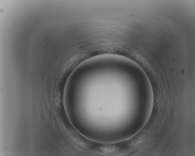 X0000062920693200601202002