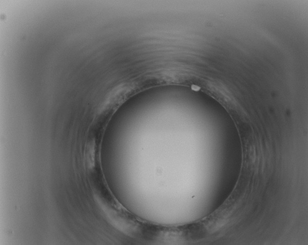 X0000062920694200601202002