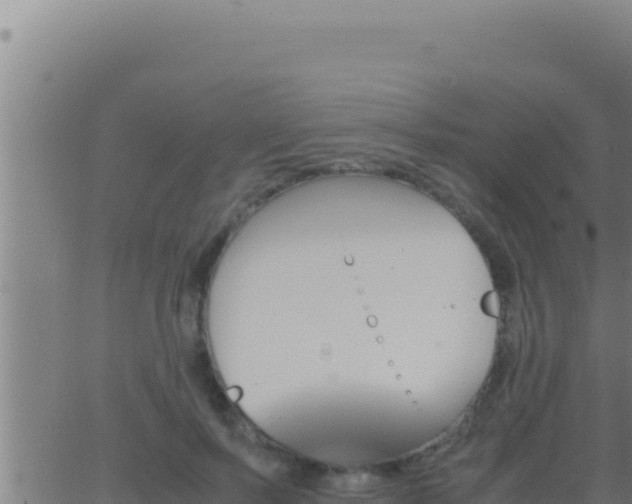 X0000062920695200601202002