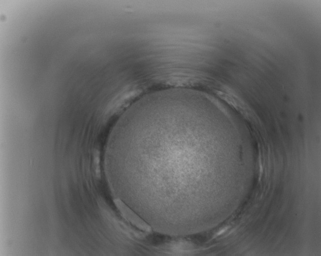 X0000062920696200601202002