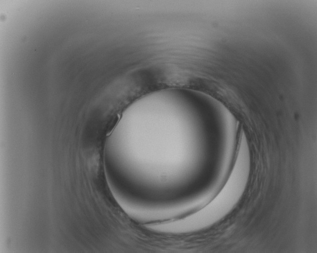 X0000062920697200601202002