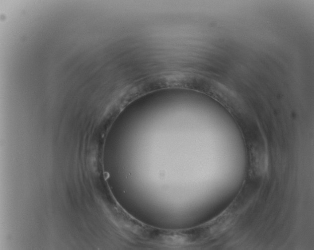 X0000062920698200601202002