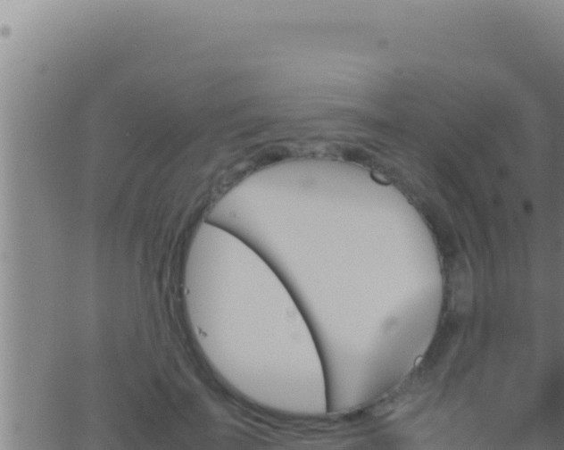 X0000062920699200601202002