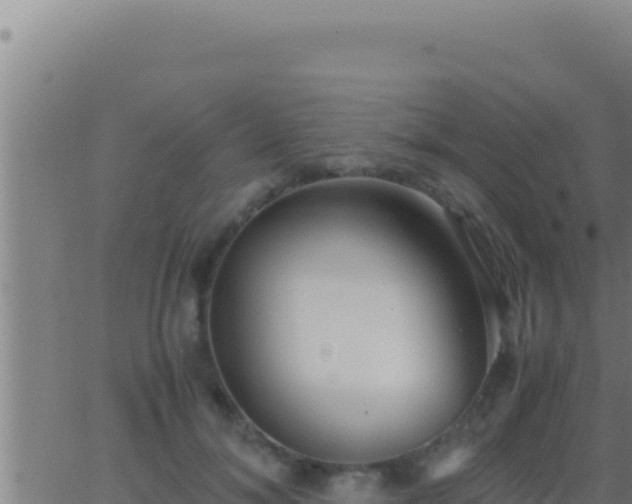 X0000062920700200601202002