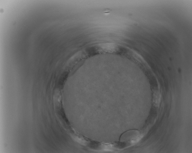 X0000062920701200601202002