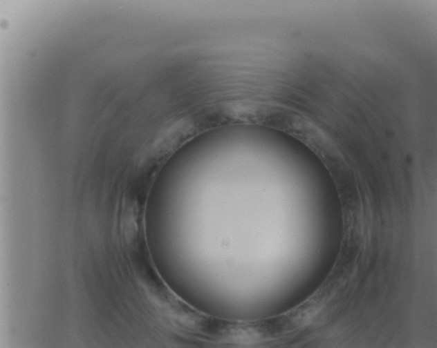 X0000062920702200601202002