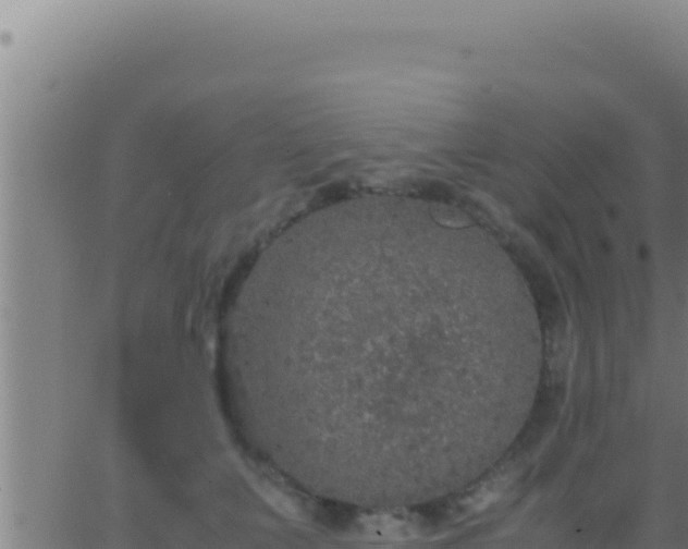 X0000062920703200601202002