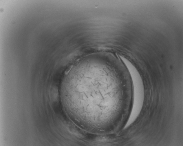 X0000062920704200601202002