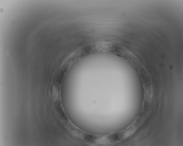 X0000062920705200601202002