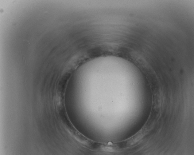 X0000062920706200601202002