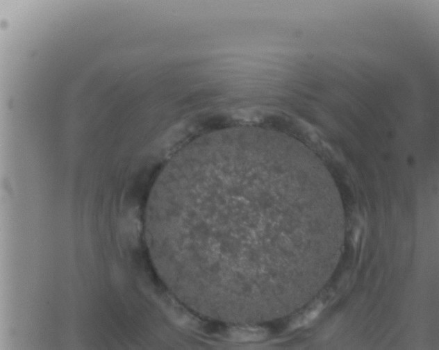 X0000062920707200601202002