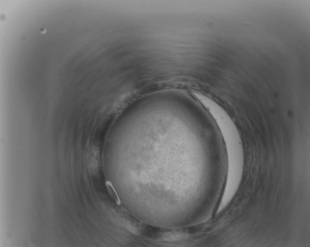 X0000062920708200601202002