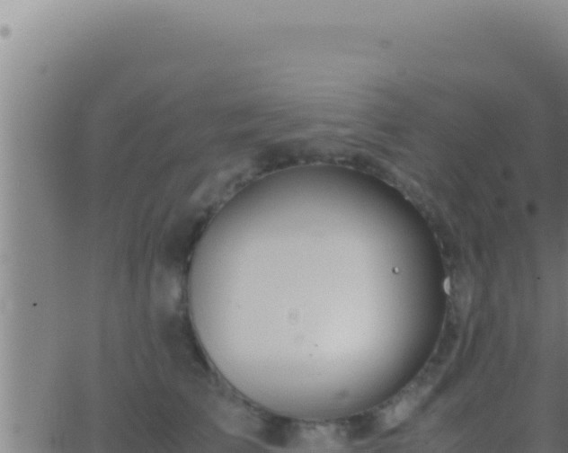 X0000062920709200601202002