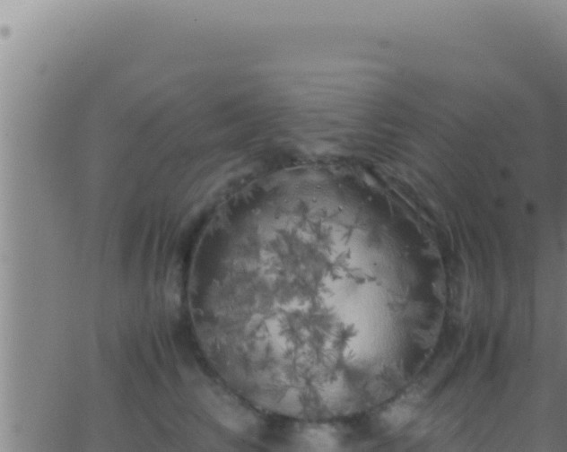 X0000062920710200601202002