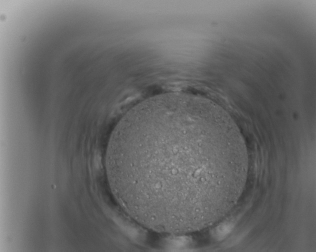 X0000062920711200601202002