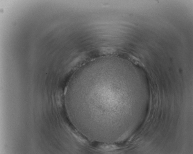 X0000062920712200601202002