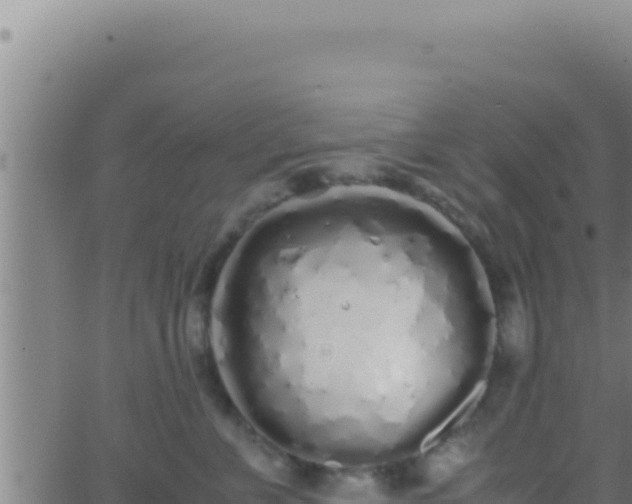 X0000062920715200601202001