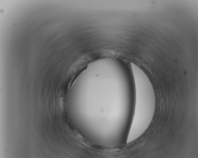 X0000062920716200601202001