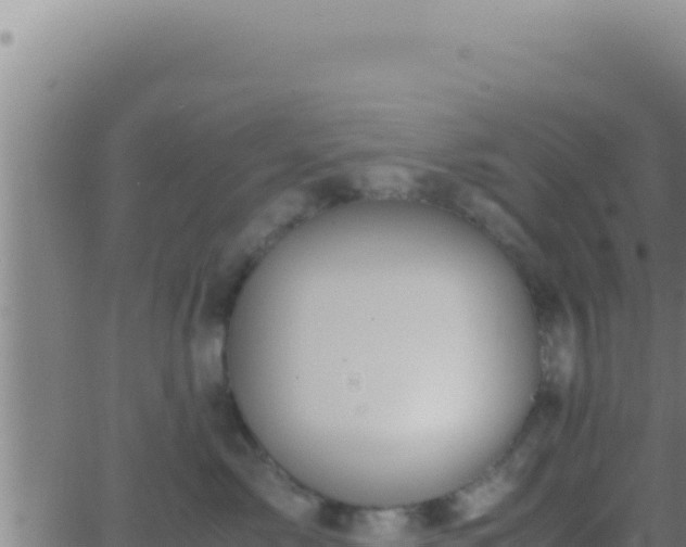 X0000062920717200601202001