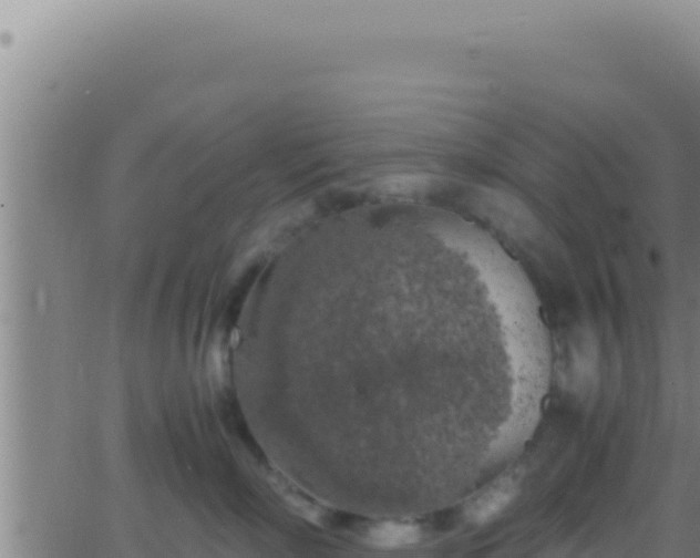 X0000062920718200601202001