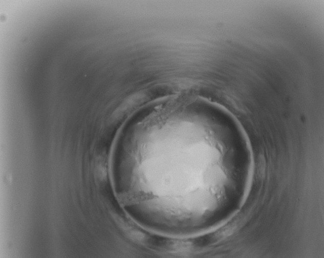 X0000062920719200601202001