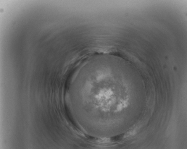 X0000062920720200601202001