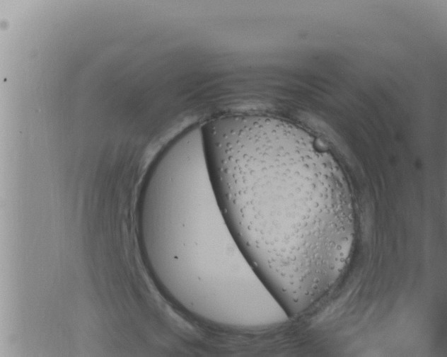 X0000062920721200601202001