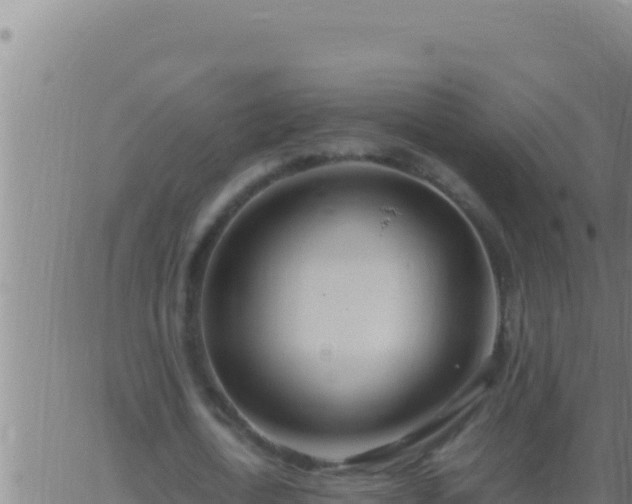 X0000062920722200601202001