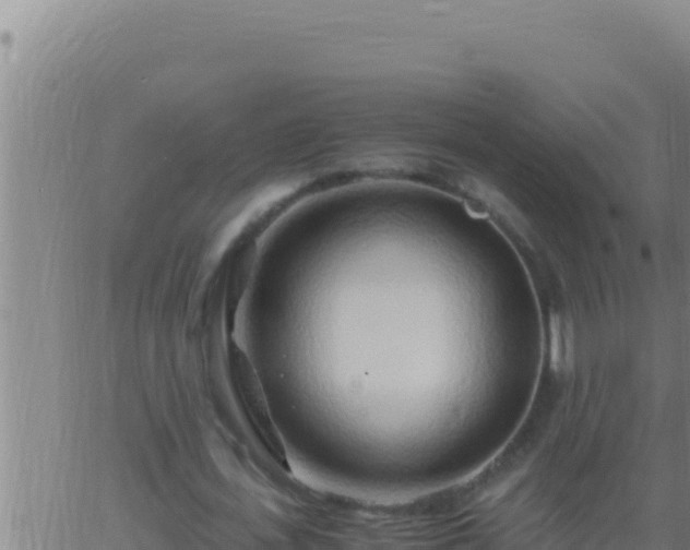 X0000062920723200601202001