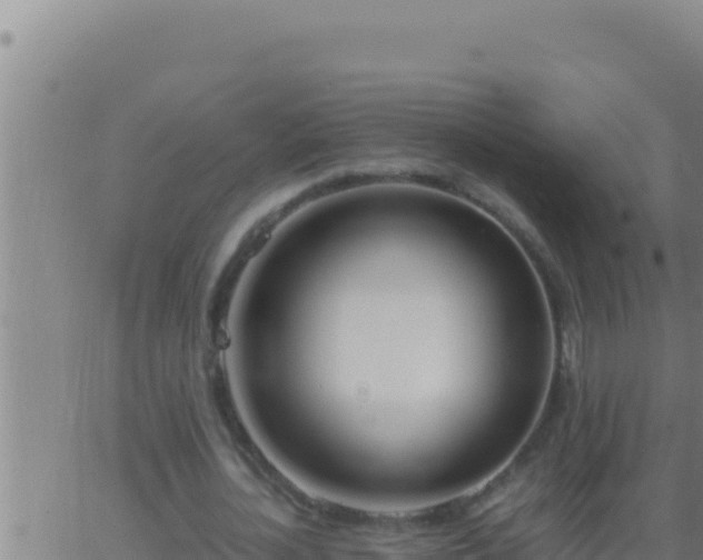 X0000062920724200601202001