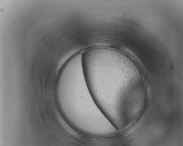 X0000062920725200601202001