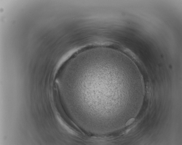 X0000062920726200601202001