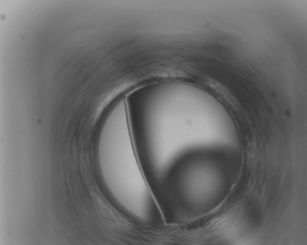 X0000062920727200601202001