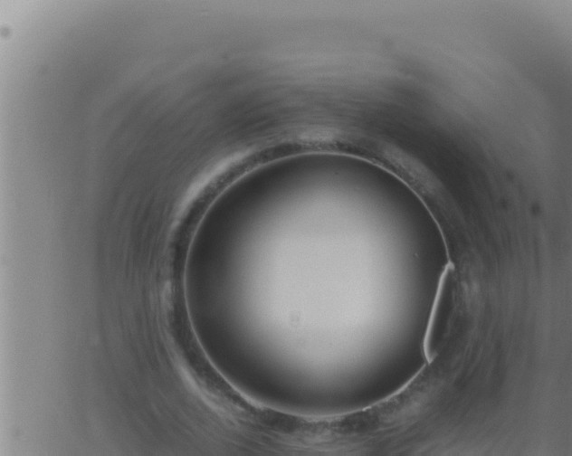 X0000062920728200601202001