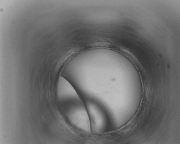 X0000062920729200601202001