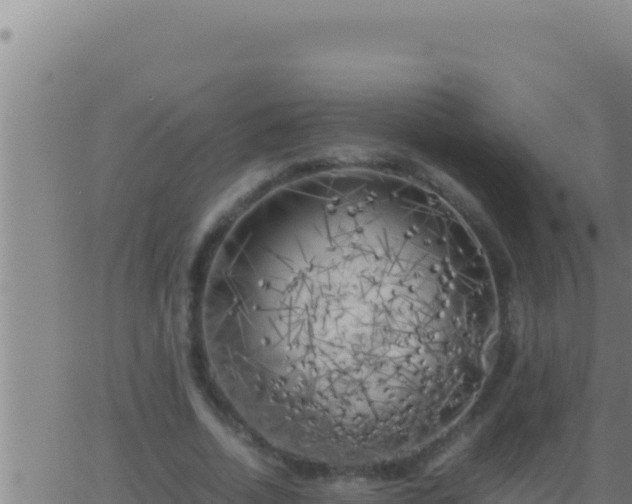 X0000062920730200601202001