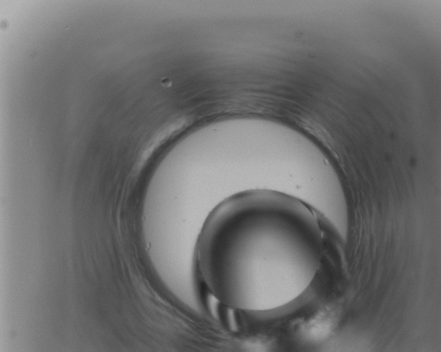 X0000062920731200601202001