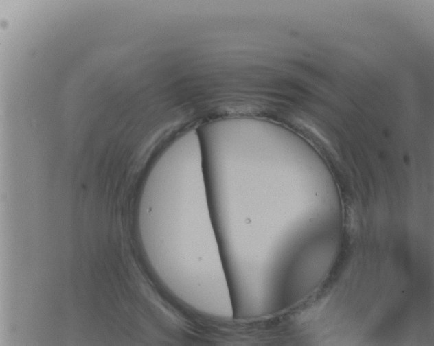 X0000062920733200601202001