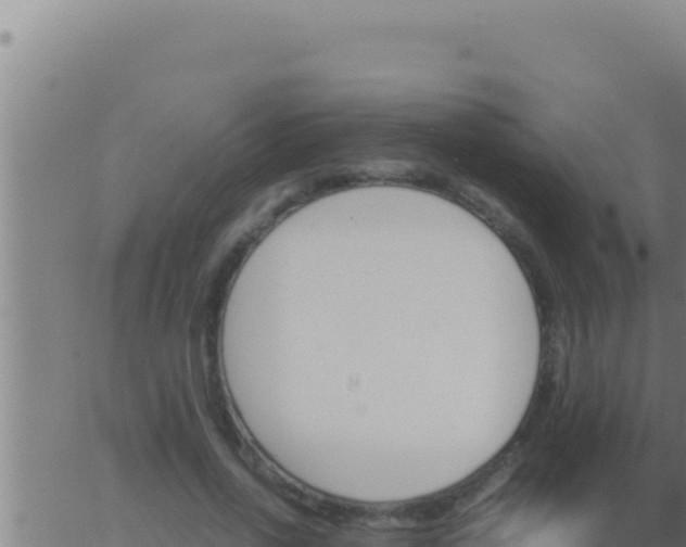 X0000062920734200601202001