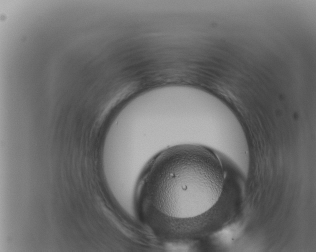 X0000062920735200601202001