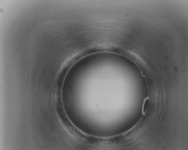 X0000062920736200601202001