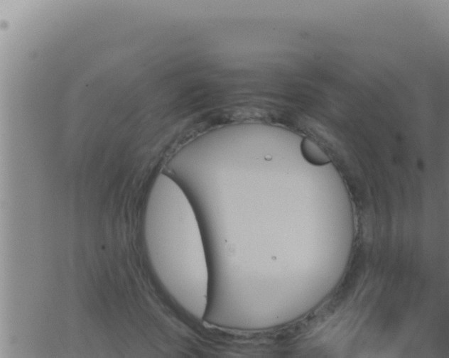 X0000062920737200601202001