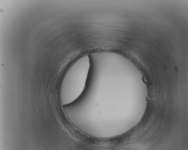 X0000062920738200601202001