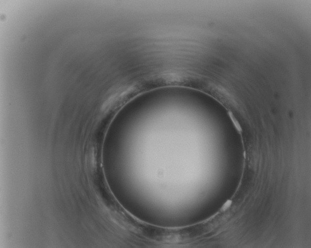 X0000062920740200601202001