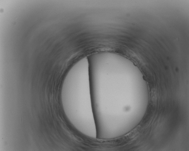 X0000062920741200601202001