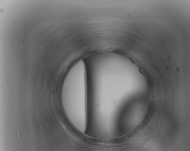 X0000062920742200601202001