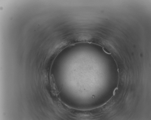 X0000062920743200601202001