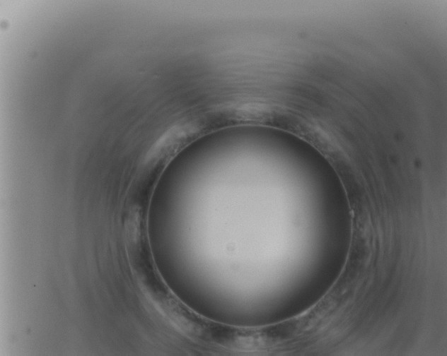 X0000062920744200601202001