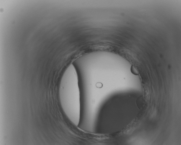 X0000062920745200601202001