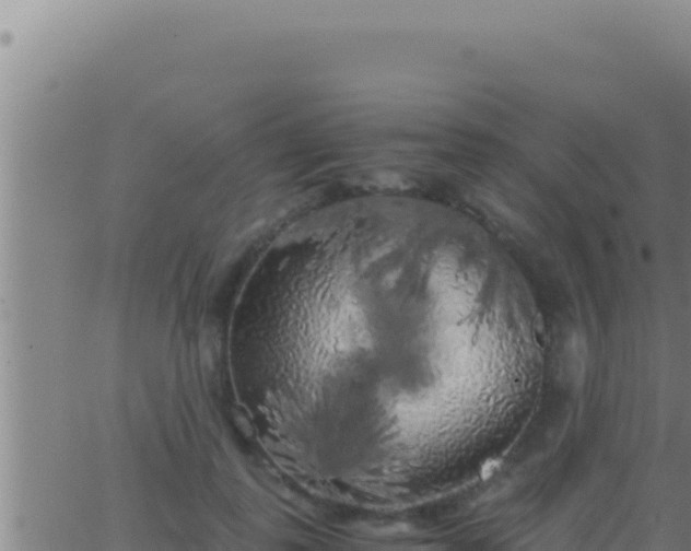 X0000062920747200601202001